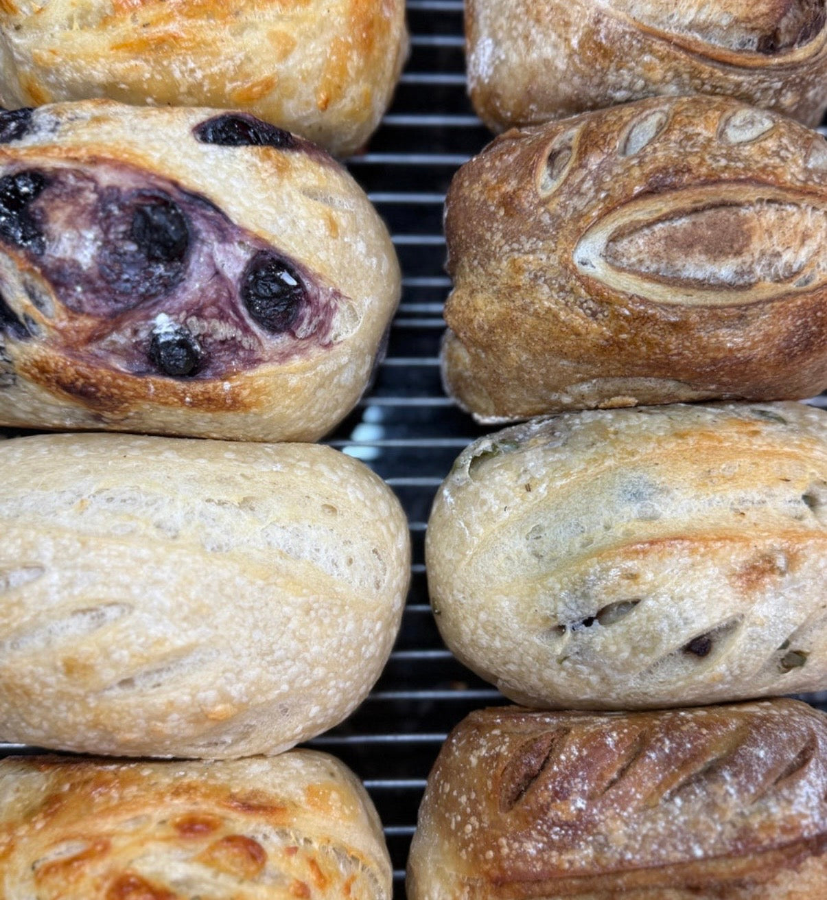 All Sourdough Breads