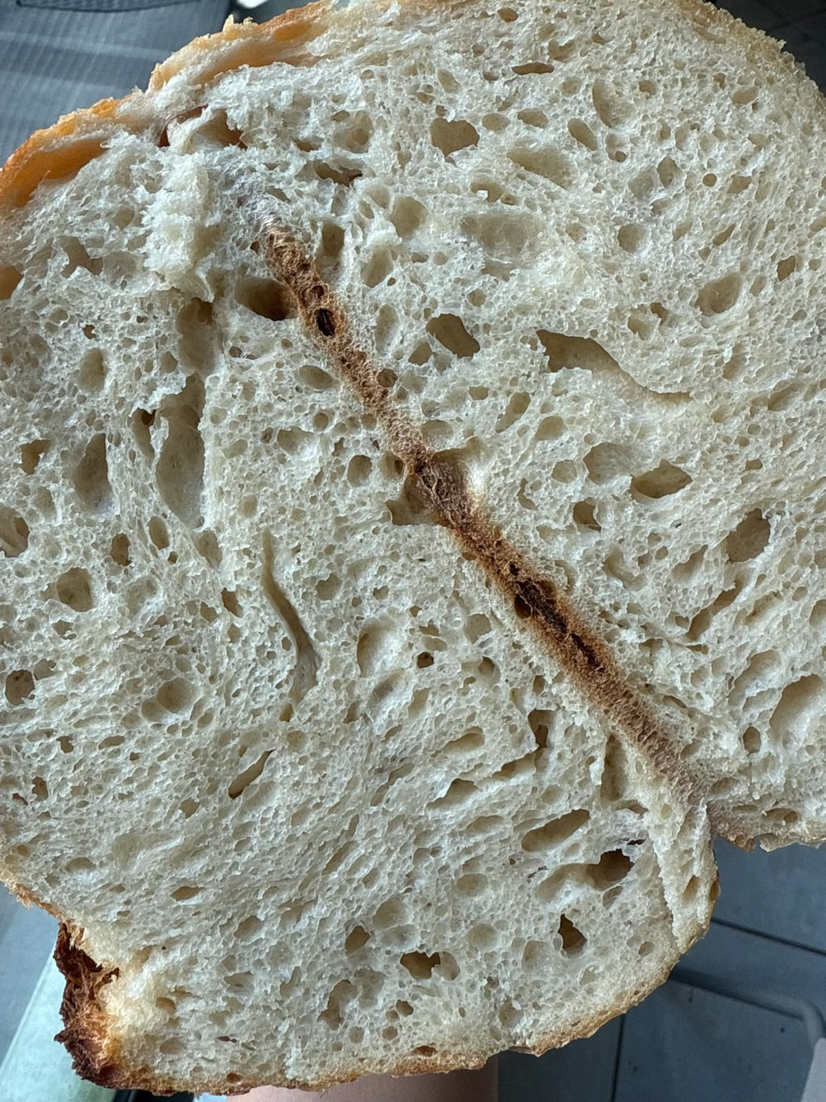 Classic Sourdough Loaf