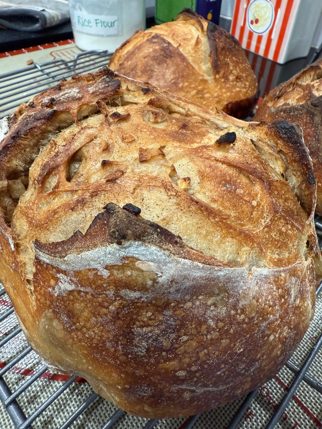 Fall Special - Apple Cinnamon Loaf