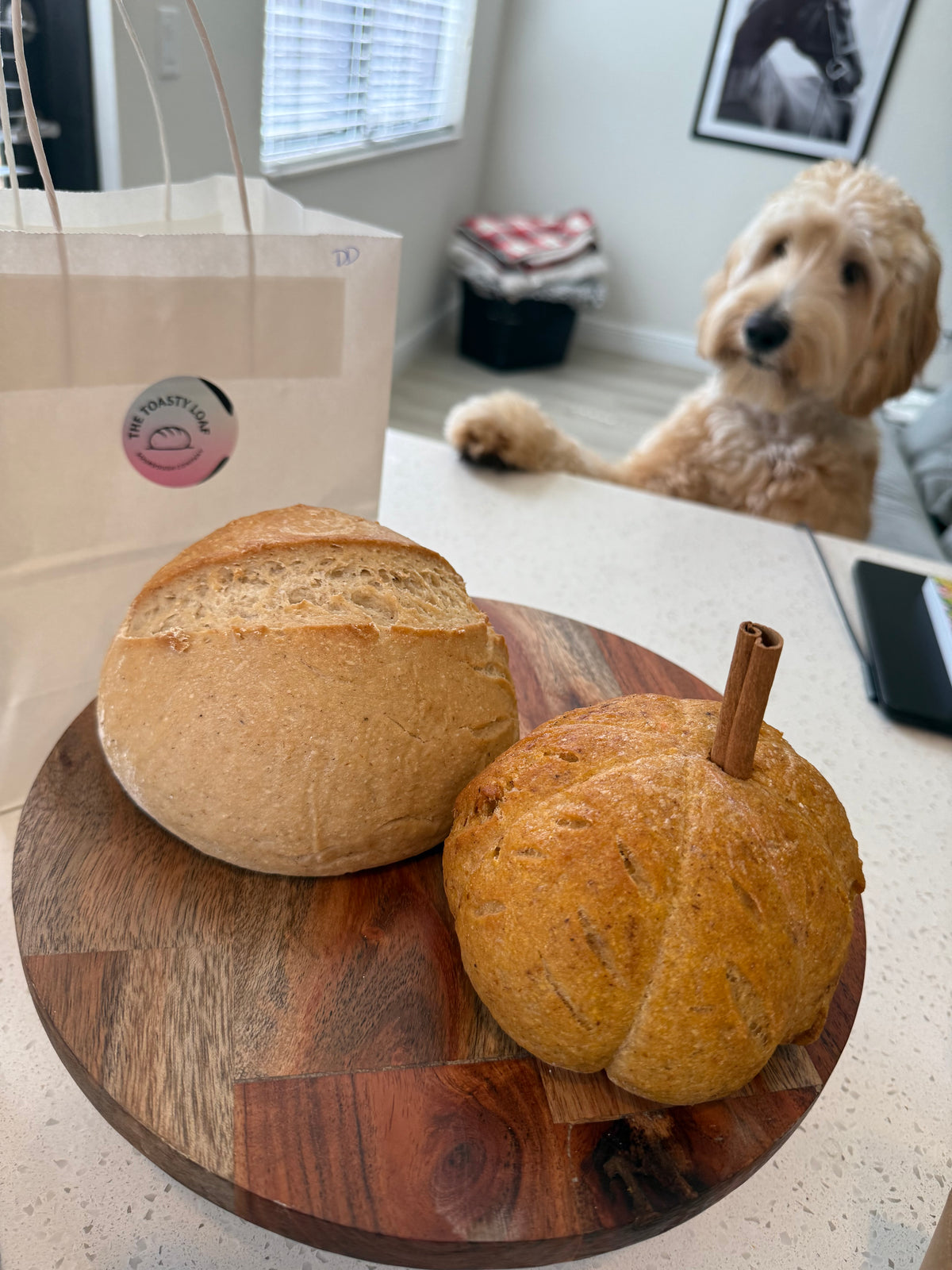 GF Fall Special - GF Pumpkin Loaf