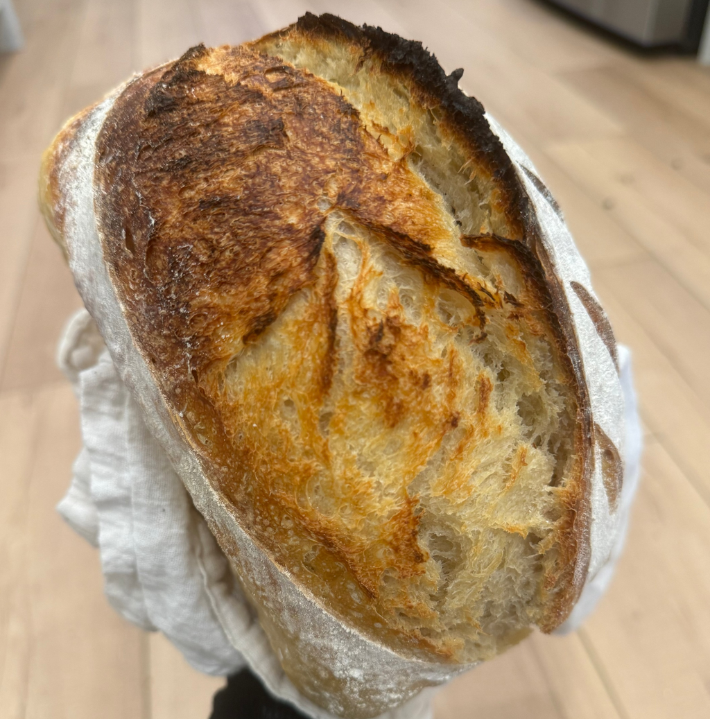 Classic Sourdough Loaf