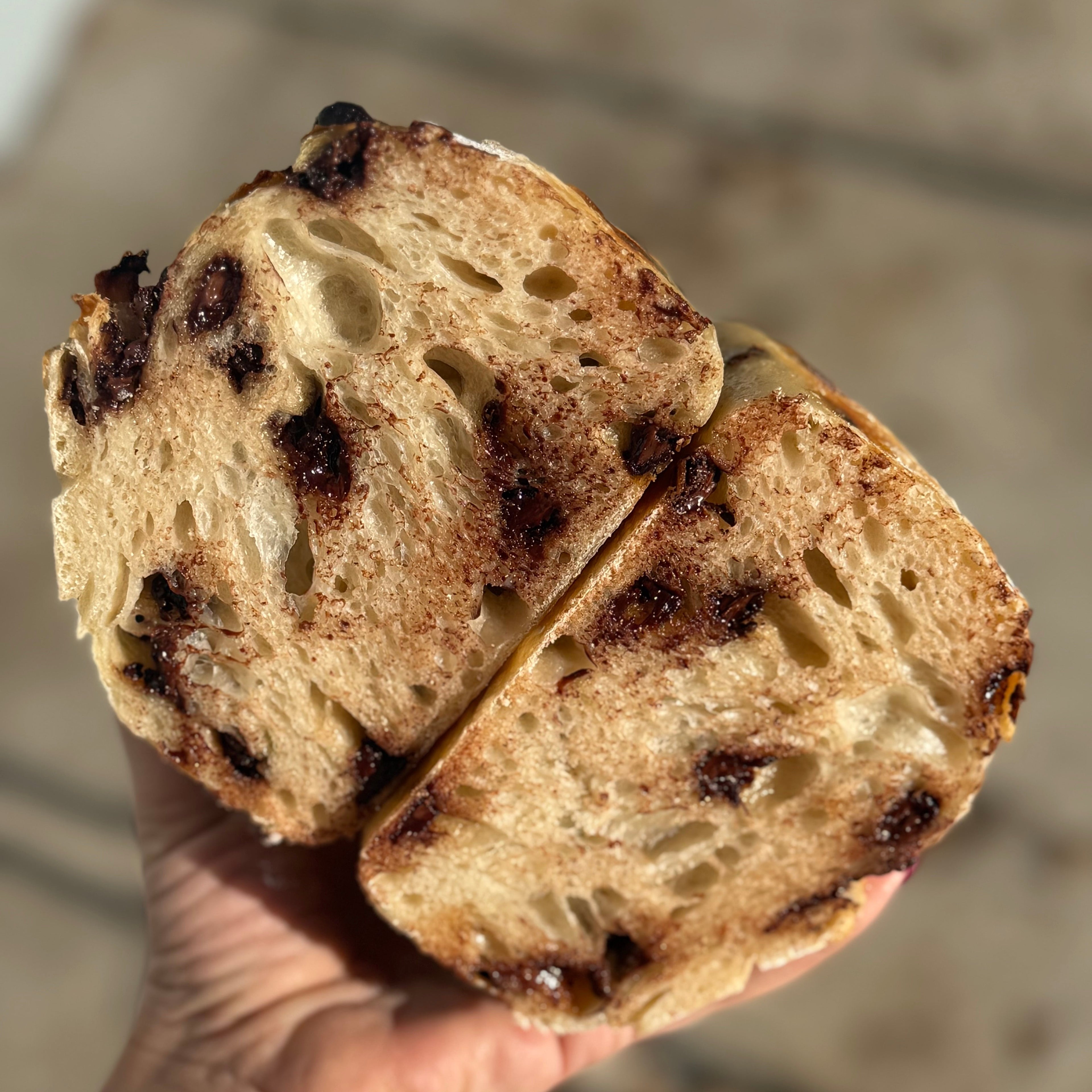 Chocolate Chip