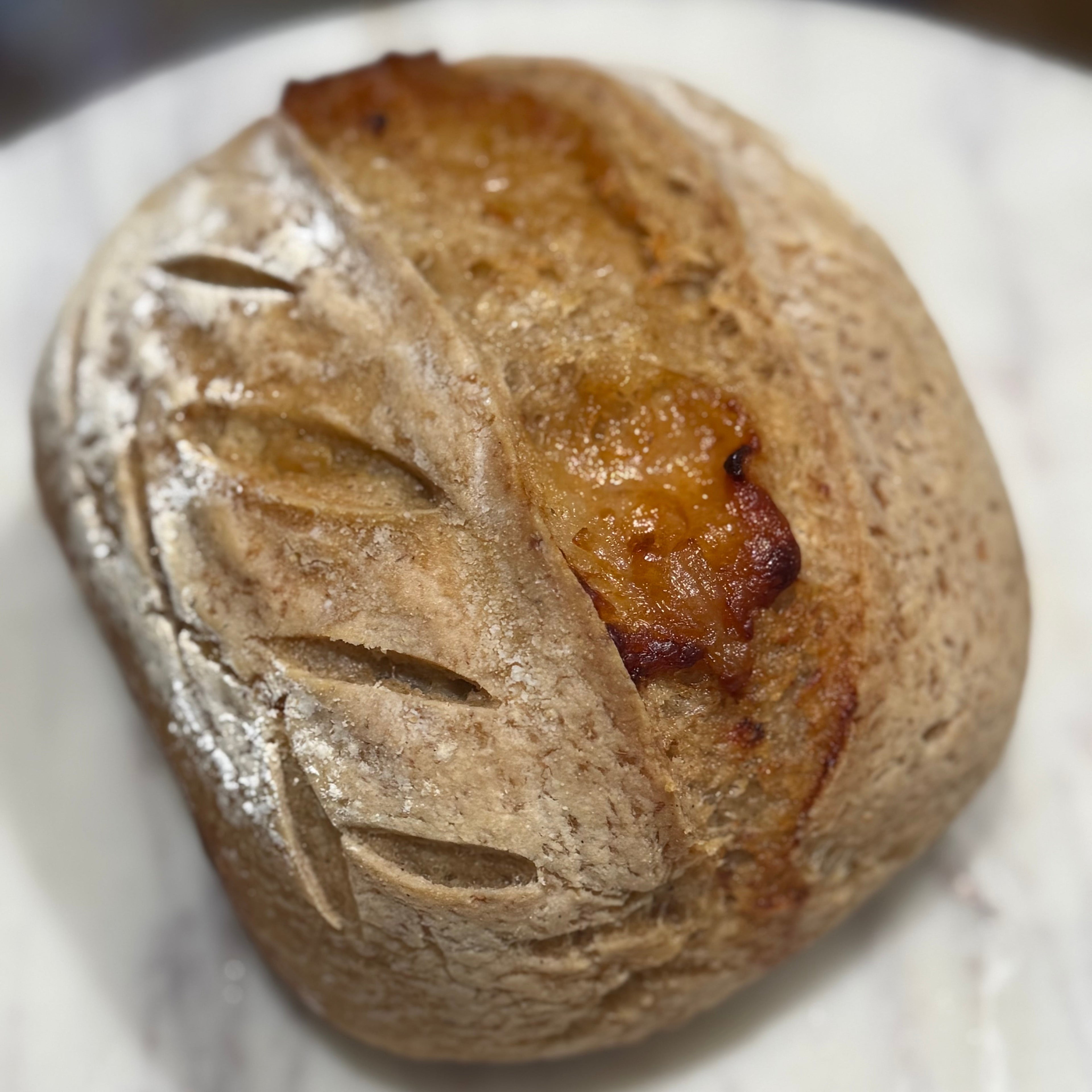 GF Caramelized Onion Asiago