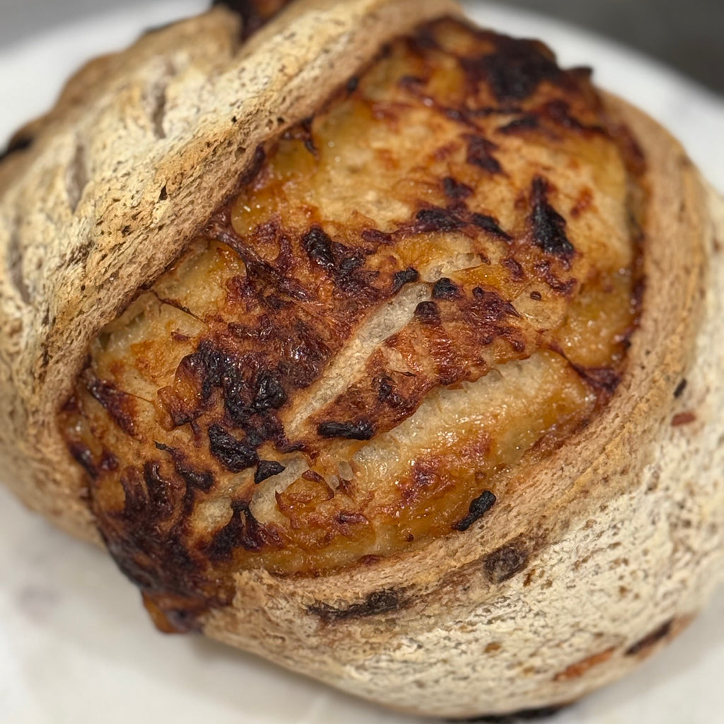 GF Caramelized Onion Asiago