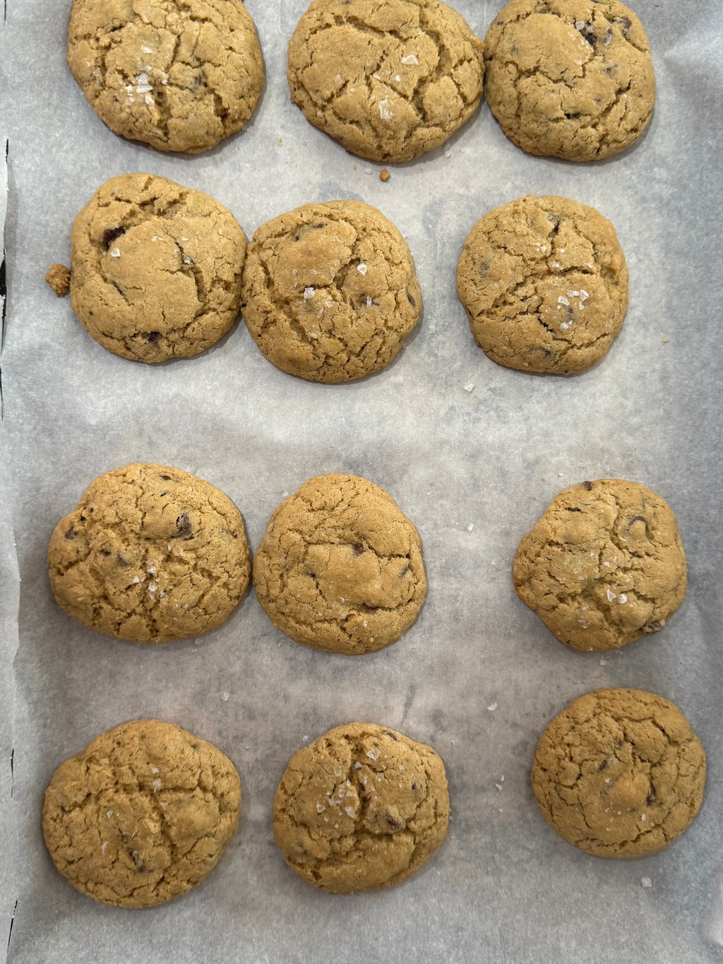 GF Chocolate Chip Cookies