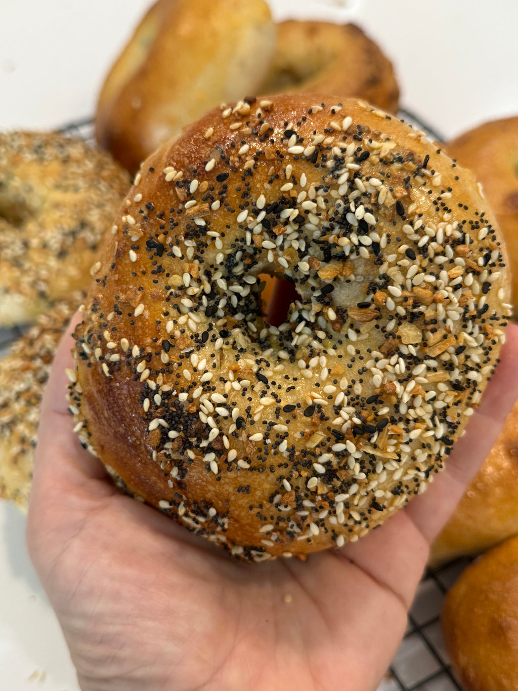 Sourdough Bagels